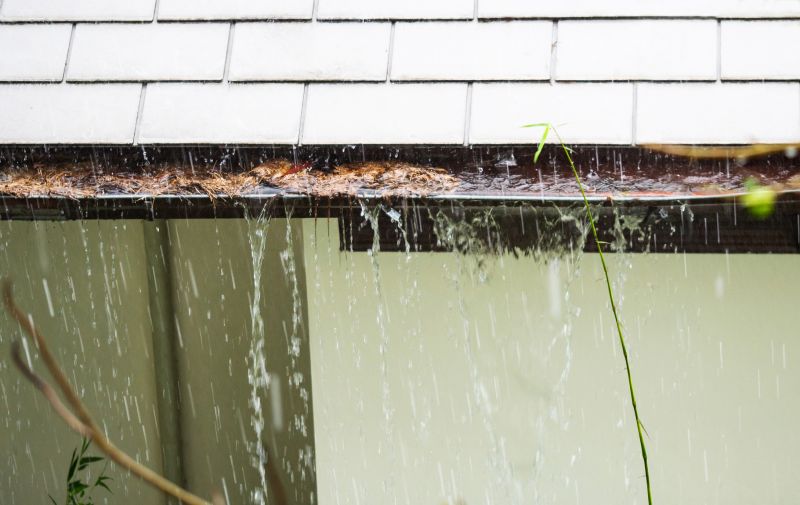 Clean Gutters with Clear Water Flow